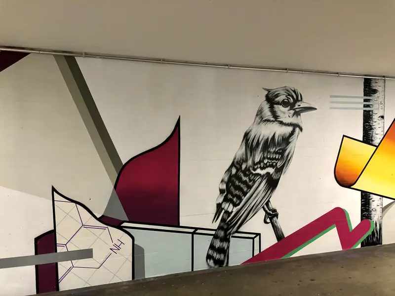 Bahnhof-Unterführung Schlieren, Bild 8