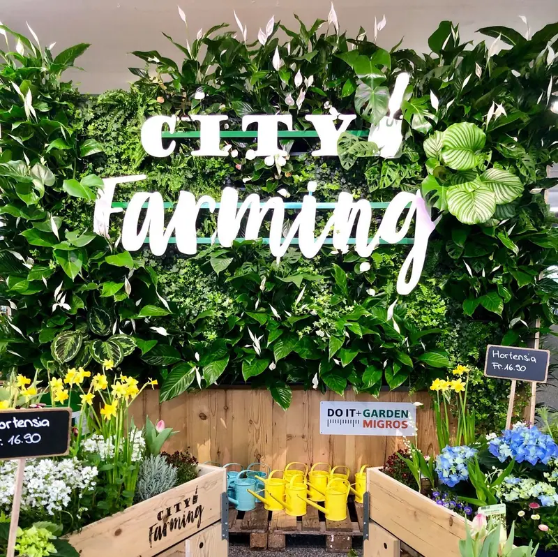 Migros Do it City Farming, Bild 1