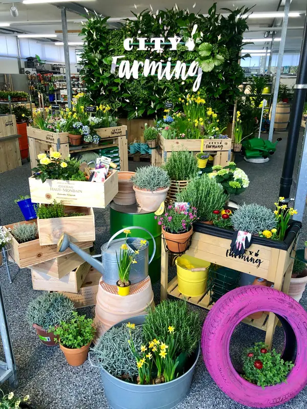 Migros Do it City Farming, Bild 2