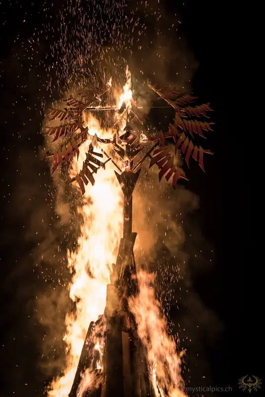 Phoenix Festival, Bild 7