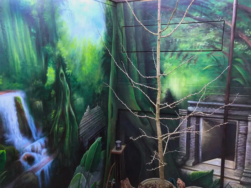 Steiner-Jungle, Bild 1