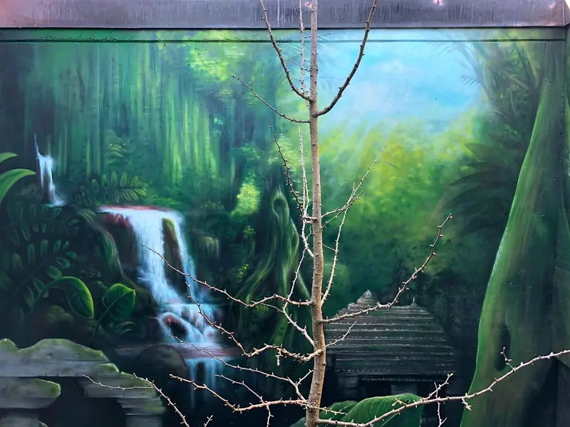 Steiner-Jungle, Bild 2